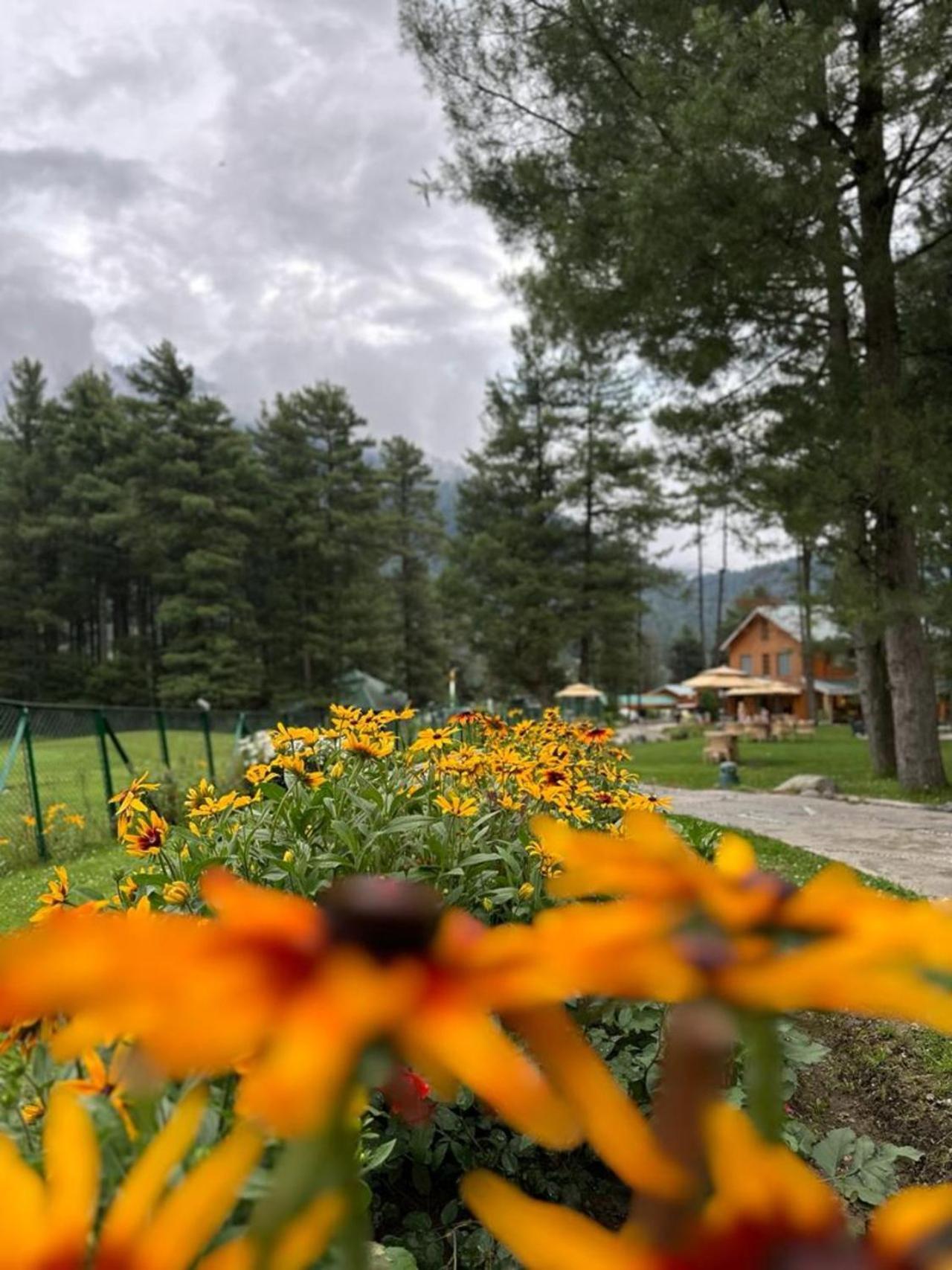 Radisson Golf Resort Pahalgam Exterior photo