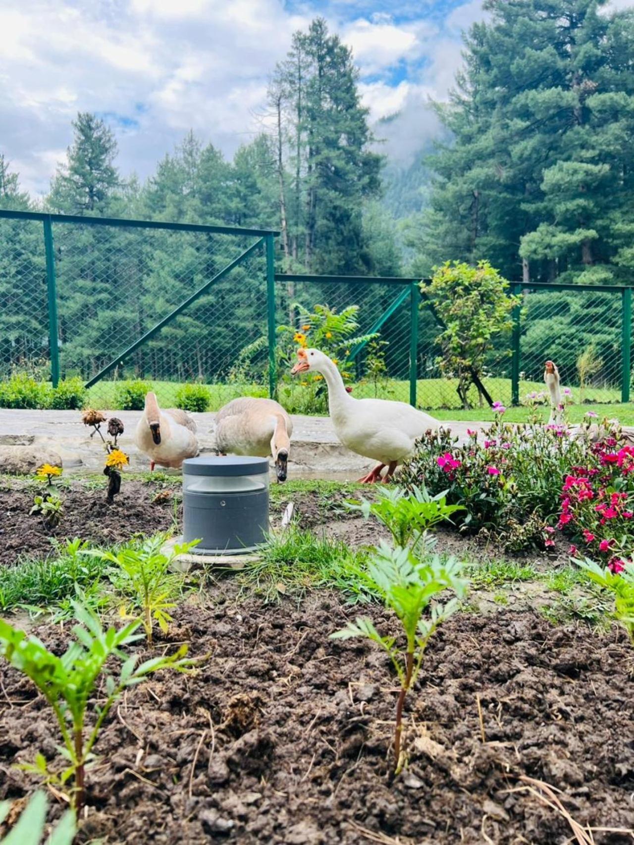 Radisson Golf Resort Pahalgam Exterior photo